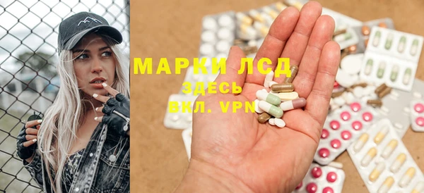 гидра Алексеевка